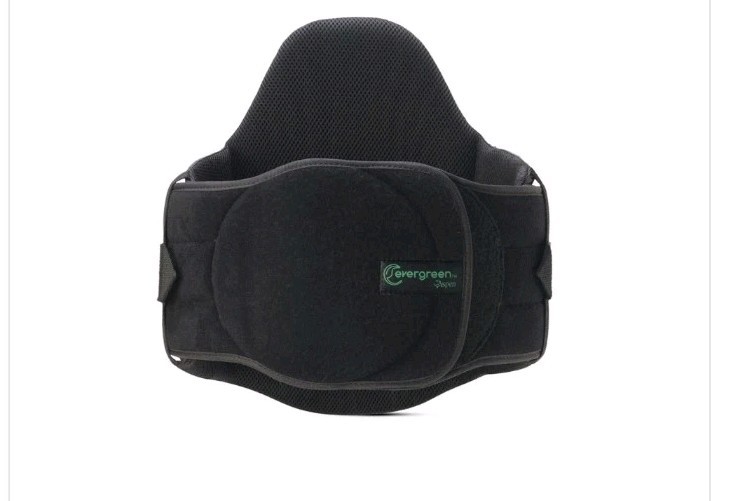 Aspen Medical Evergreen L0631 LSO LoPro Lumbar Support Back Brace Adjustable