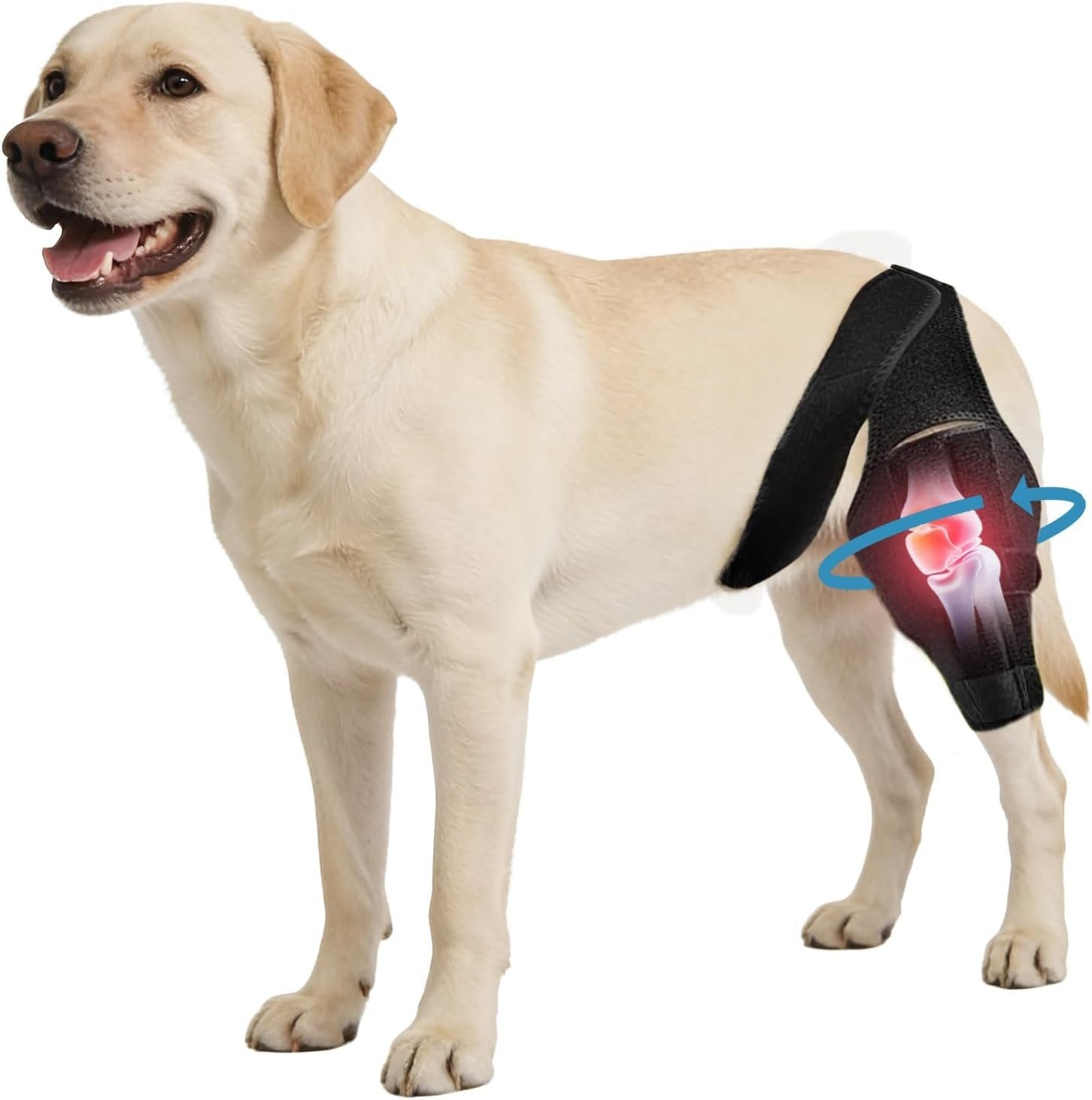 Small Dog Knee Brace for Torn ACL/CCL & Hind Leg Support – Adjustable Brace for