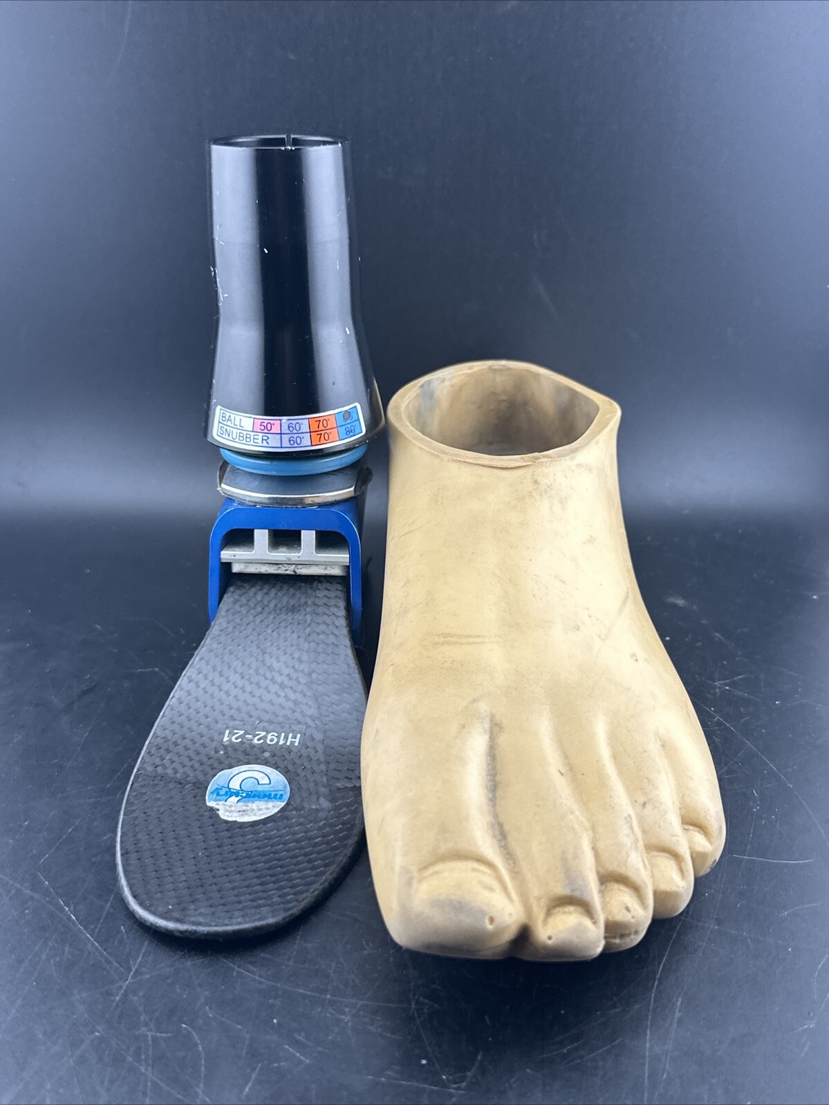 Endolite Blatchford Multiflex Multi-flex Style Prosthetic Foot.