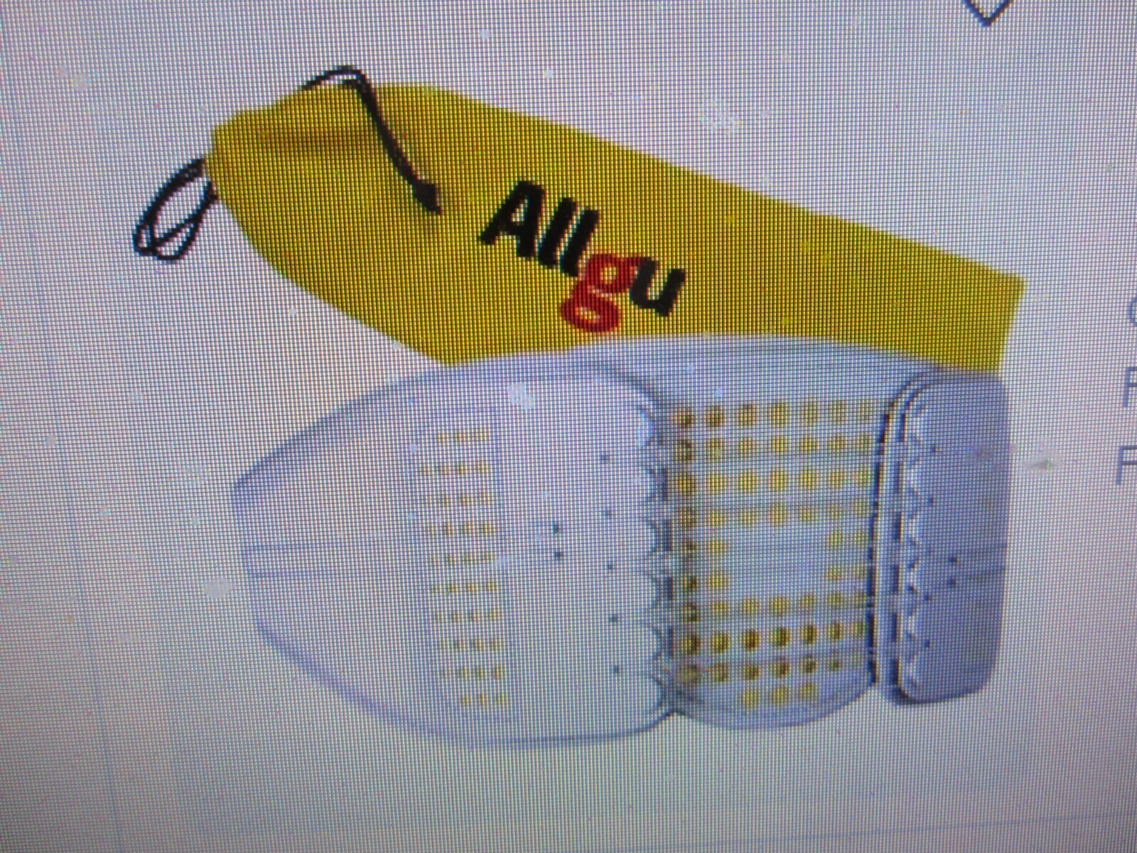 Allgu Ss-Belt Lumbar Support Back Brace Relief from Back Pain Breathable GREY XL