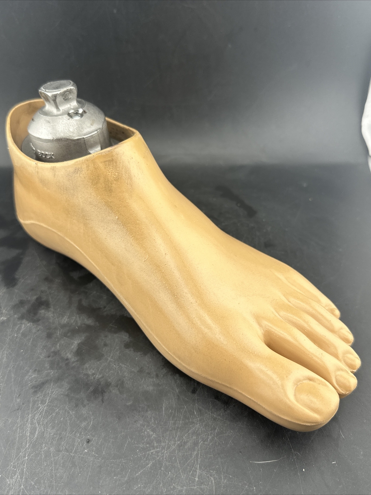 OTTOBOCK Otto Bock Greissinger Plus Prosthetic Foot. Left Size 25 1A30