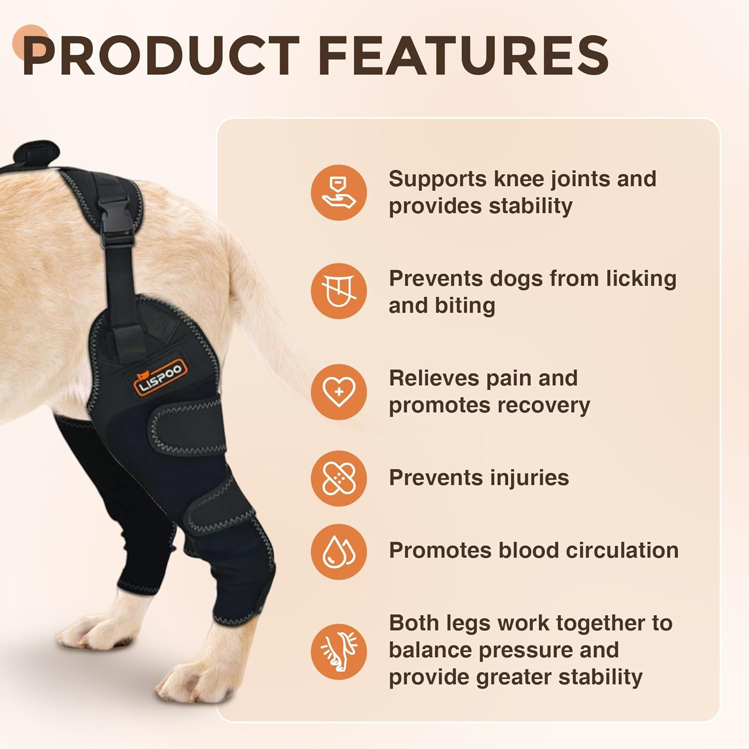 Dog ACL Knee Brace for Arthritis & Patellar Luxation – Hind Leg Support