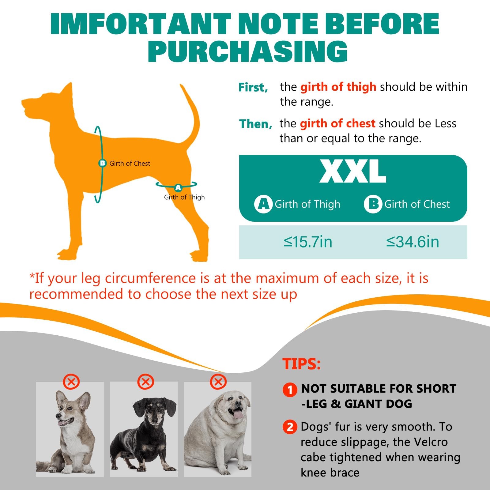 Dog Knee Braces for Torn ACL Hind Leg, Adjustable Joint Brace Non-Slip | Doub…