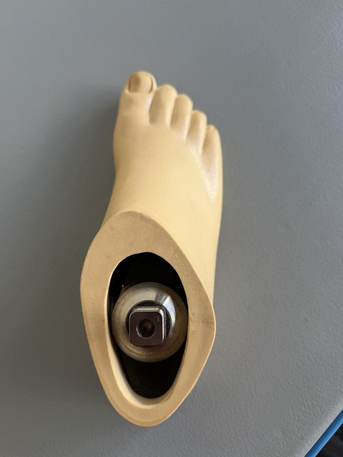 OTTOBOCK Otto Bock Right Prosthetic Foot. Size 25cm