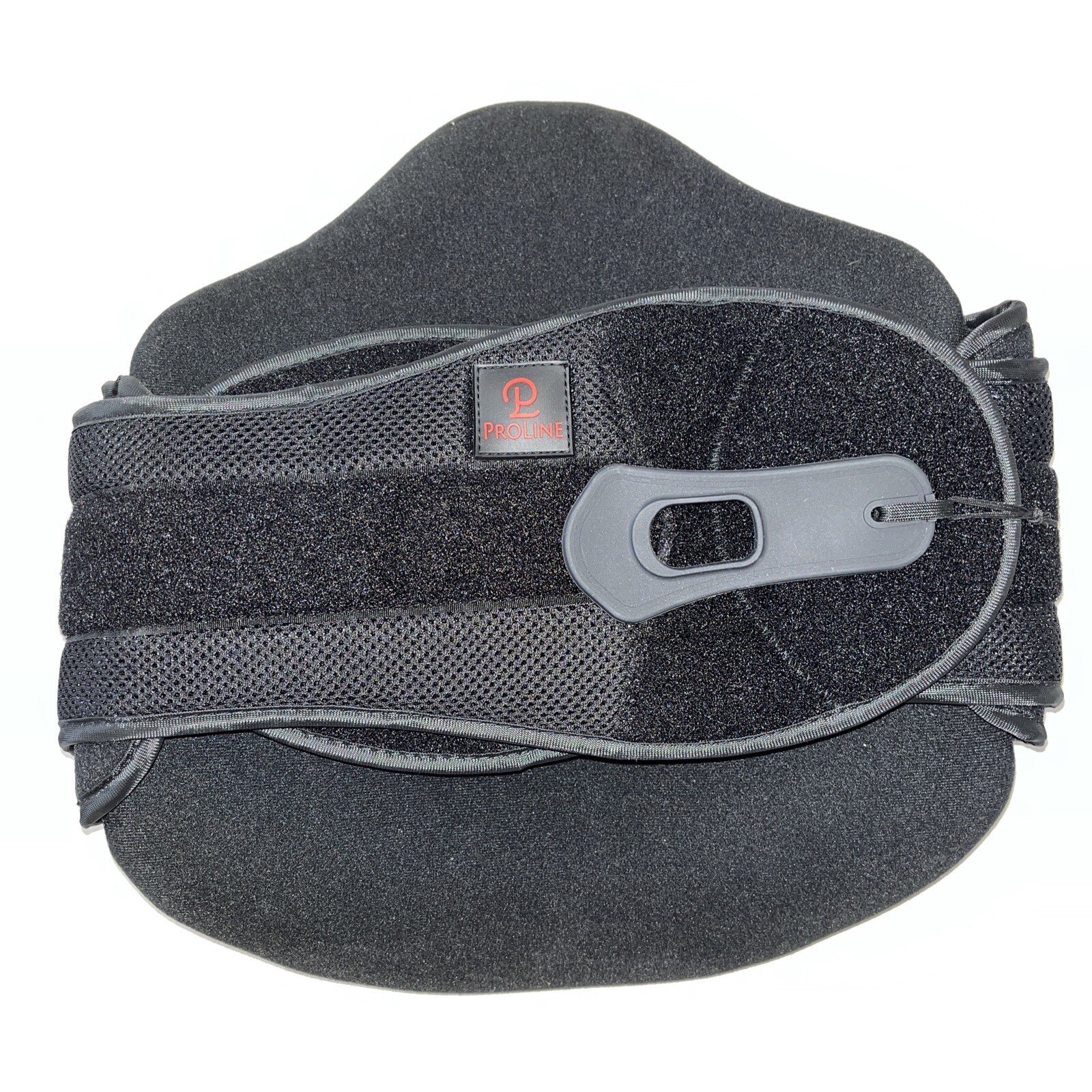 New ProLine Innovations Back Brace Support With Bag Universal Resizable
