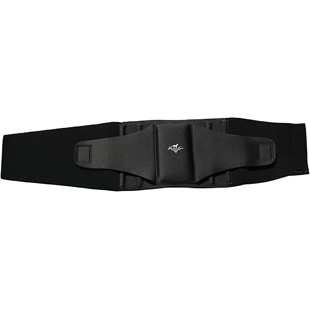 PROFESSIONAL’S CHOICE Comfort-Fit Black Small Low Back Support (PC200-BLACK)