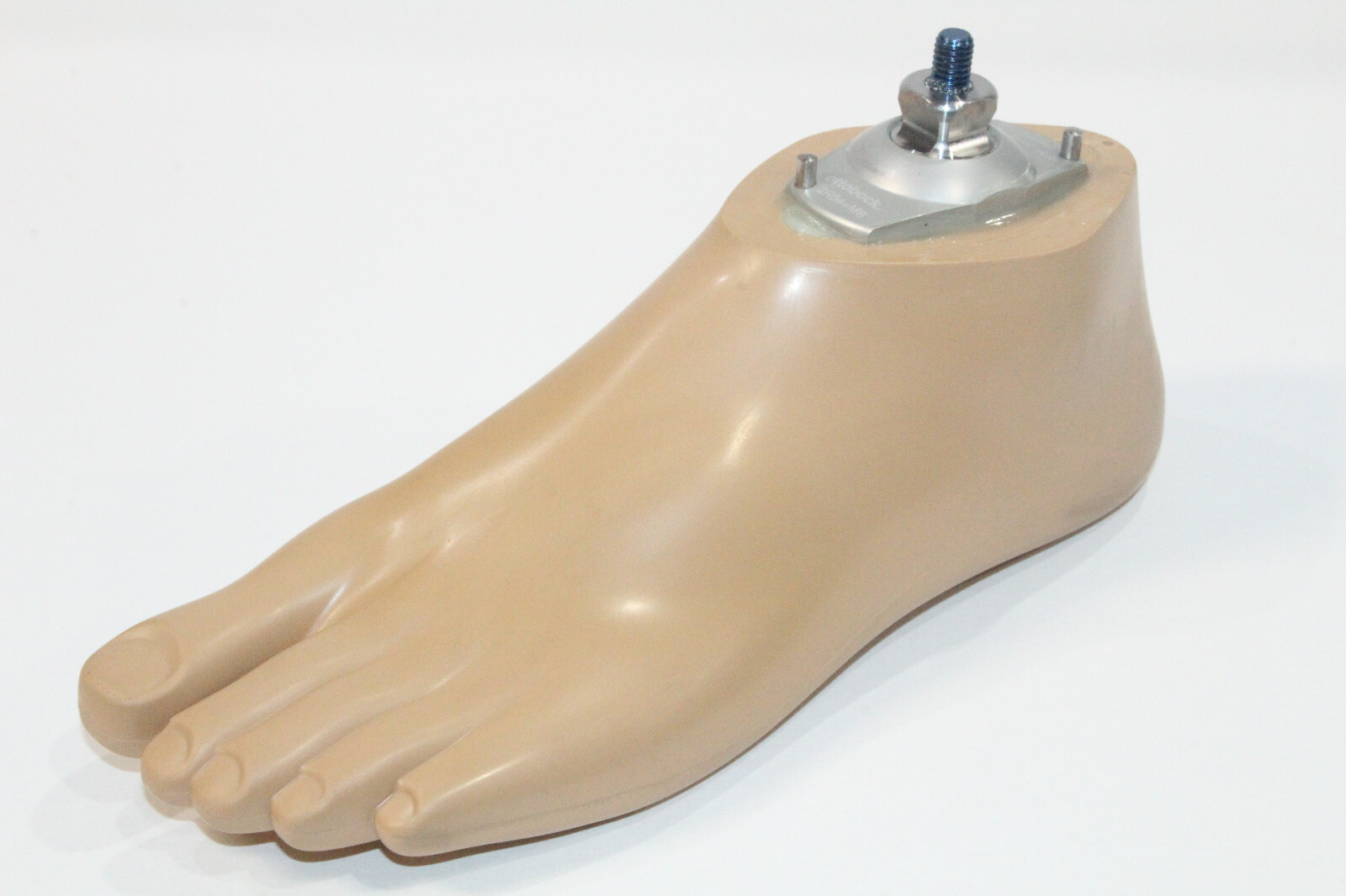 OTTOBOCK COMPLETE SACH+ PROSTHETIC LEFT FOOT 1S101 ADAPTER 2R54 Sz 25 NEW?