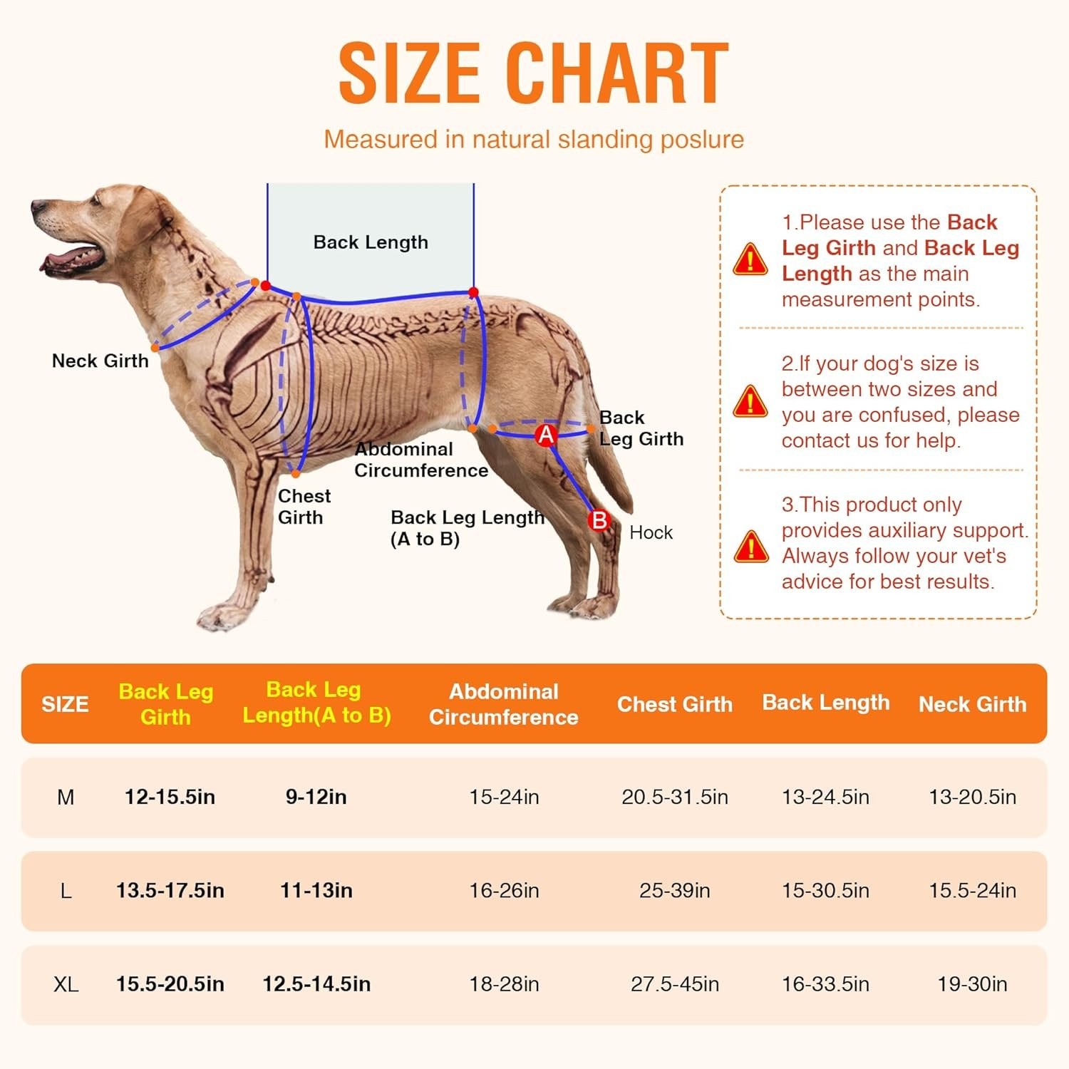 Large Dog Brace for Back Leg for Support – Breathable Adjustable Dog ACL Knee Br