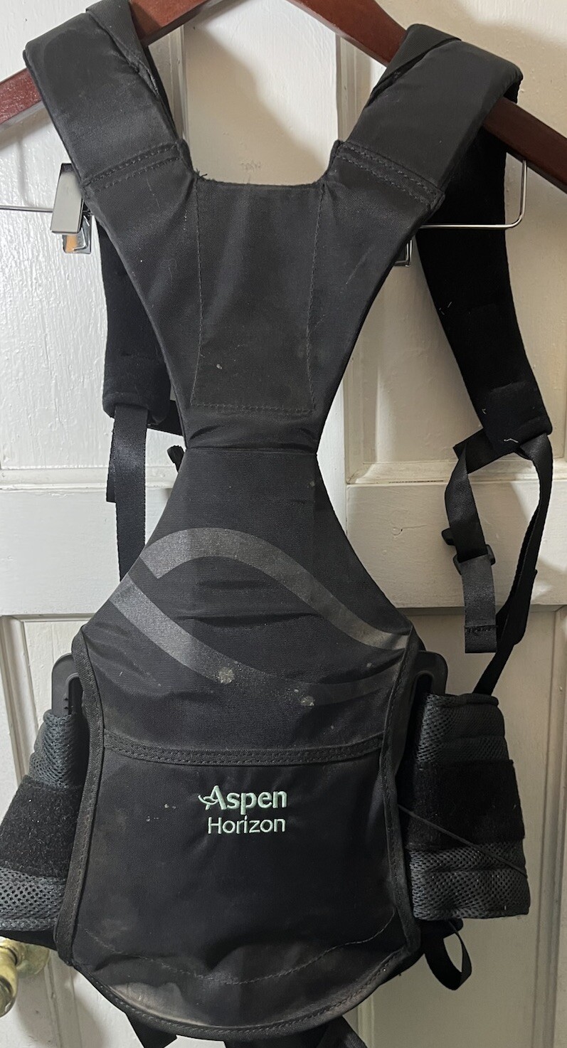 Aspen Horizon Large Back Brace Black Waist Support & Adjustable Strap Tighteners