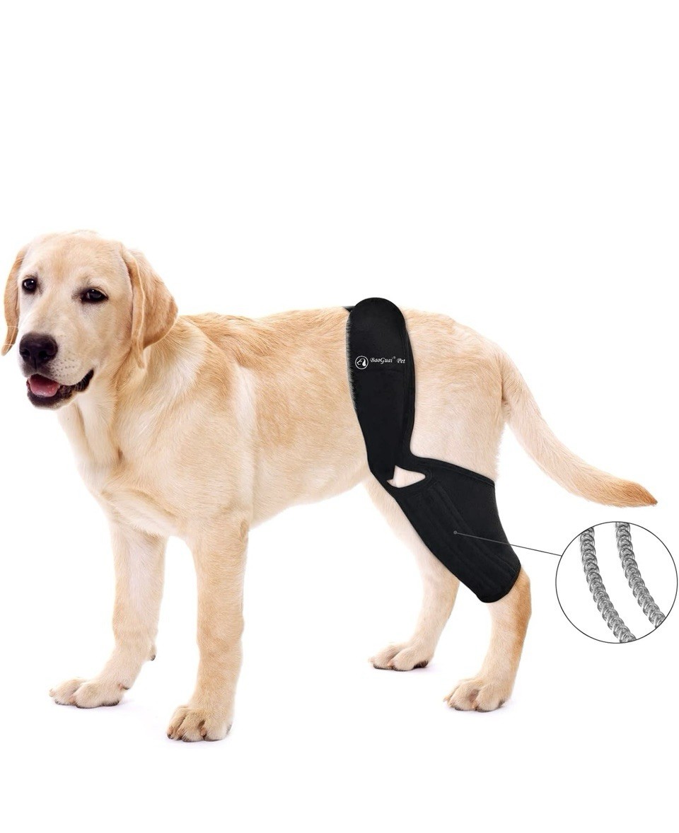 NEW BaoGuai Pet Knee Brace for Dogs Hind Leg ACL with Side Stabilizers XL