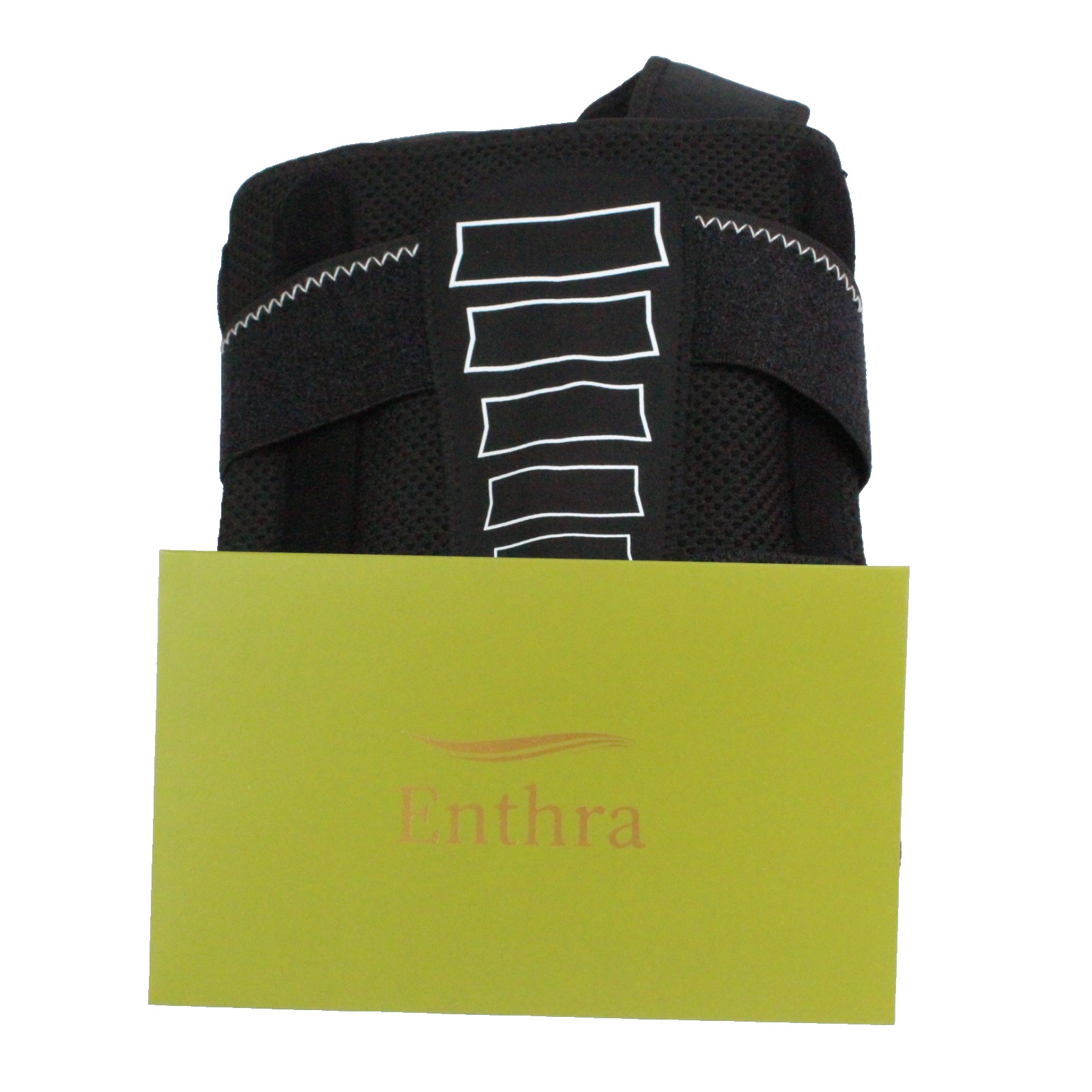 Enthra Back Brace Posture Corrector for Women/Men Size L