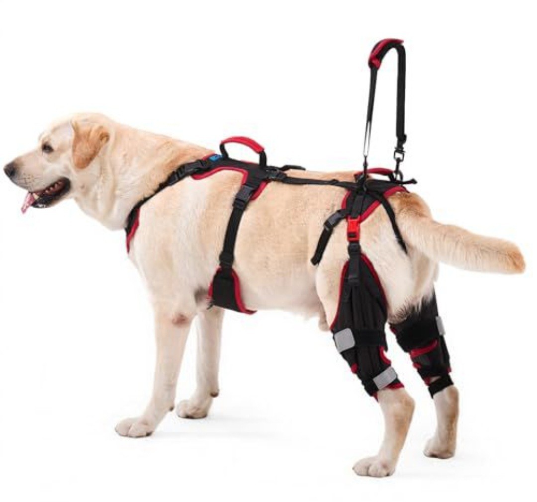 Lafoty Dog ACL CCL Knee Brace Set L Rear Leg Support w/ Handles Black