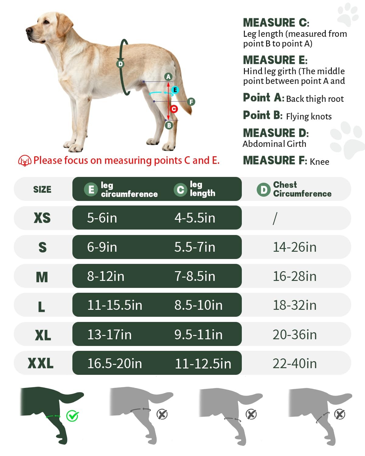 Adjustable Dog Hind Leg Knee Brace with Metal Side Stabilizers,(Size XL). | T…