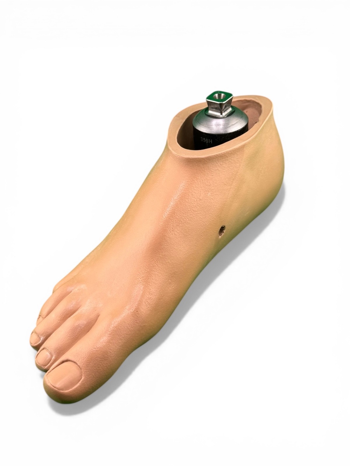Ohio Willow Wood willowwood SACH Prosthetic foot size 28. Right.