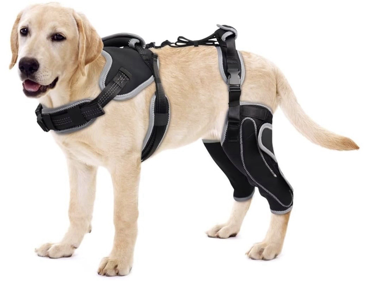 Dog Knee Brace for Torn ACL/CCL Hind Leg,Adjustable Support with Sufficient