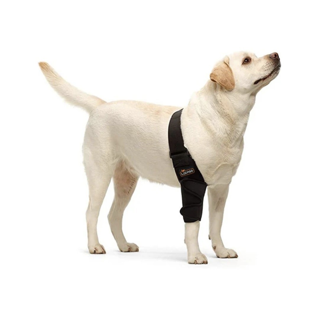 Lispoo Dog Elbow/ACL Brace Protector Pads Provides Elbow Support, XL, Left, NEW