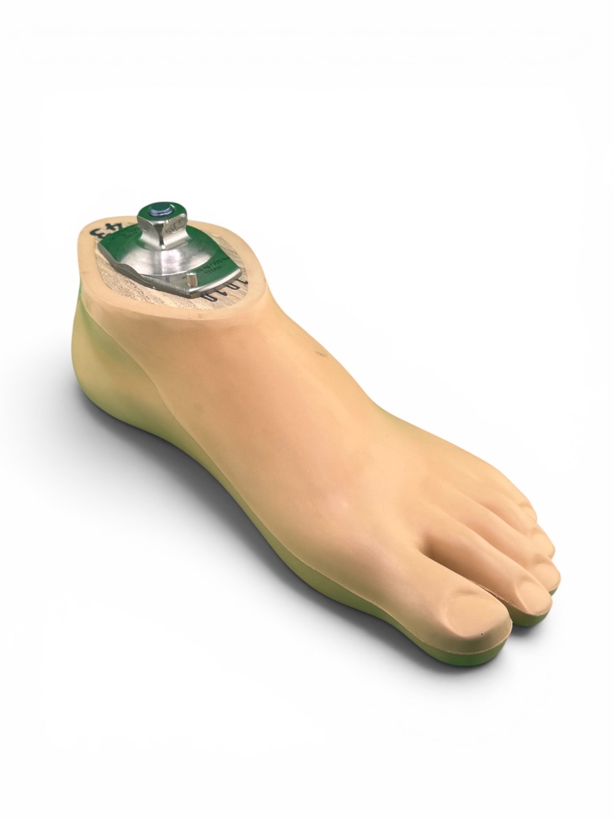 Ottobock Otto bock sach prosthetic foot. Left. Size 26.
