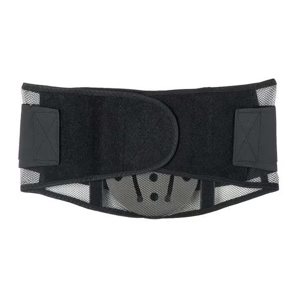 Condor Back Support with Lumbar Pad,Black,M 1M704 Condor 1M704 M 190735051245