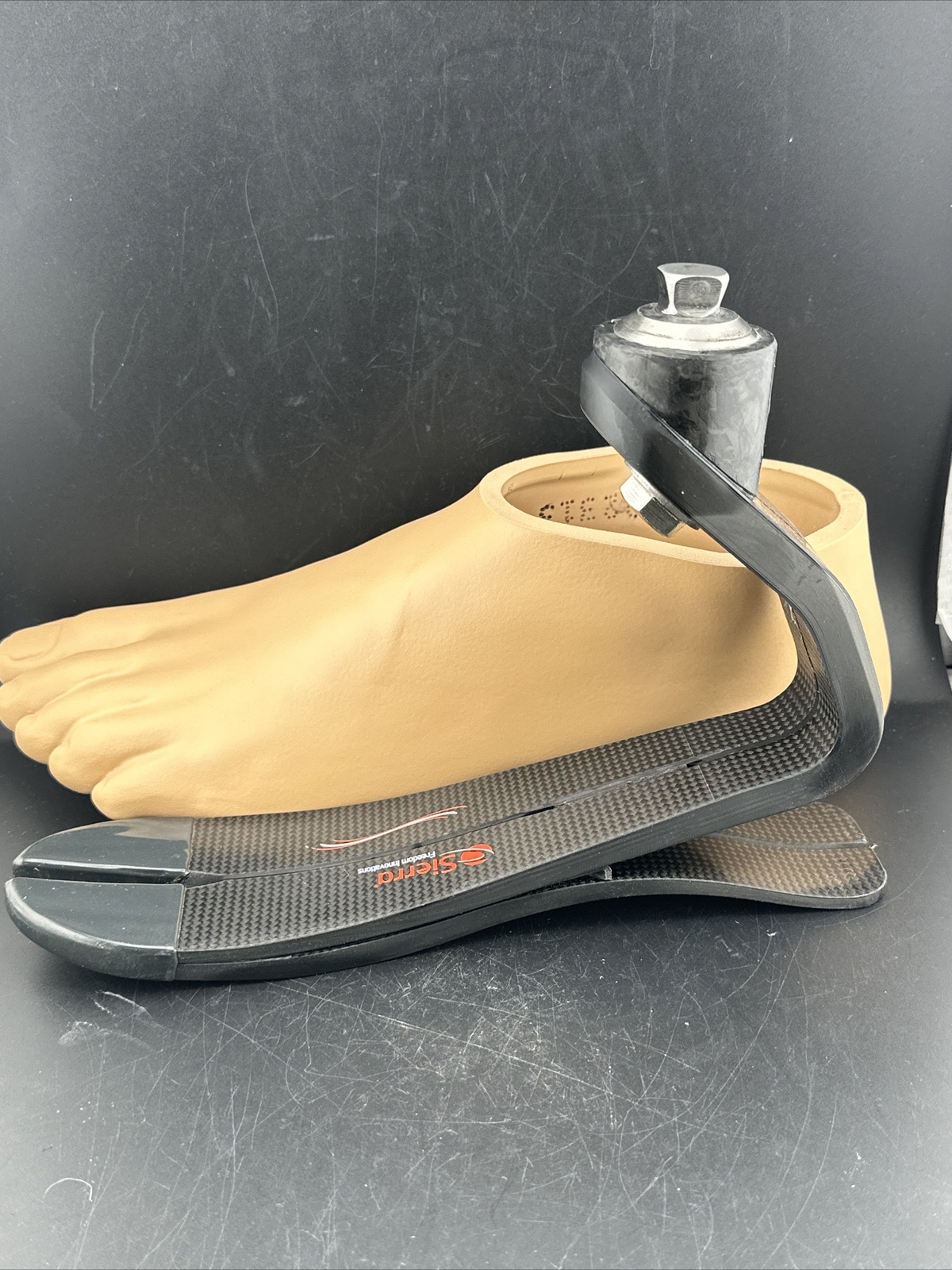 freedom sierra prosthetic foot. size 31. category 7. Left Prosthetic Foot