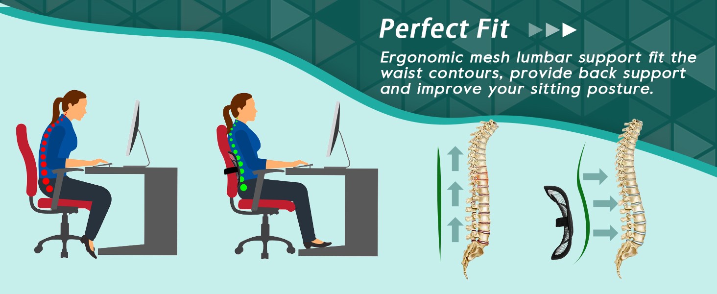 Mesh Lumbar Support for Office Chair and Car Seat | 12 x 16 Inch Breathable